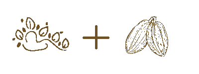 Abhyanga et Cacao Ayurveda Dieulouard