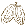 Cacao Ayurveda Dieulouard