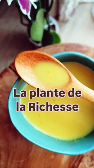 Instagram post from sakura_ayurveda. This post is in position 5.