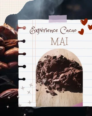 Instagram post from sakura_ayurveda. This post is in position 2.